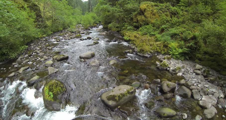 A mountain stream flowing over rocks