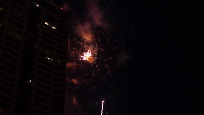Fireworks explode in the dark night sky