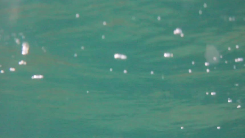 An underwater camera coming up above water