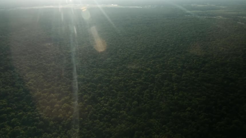 An aerial view of trees and bodies of water