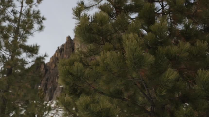 A high mountain with trees in front on a cloudy day