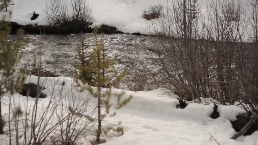 A river flowing between snow covered banks