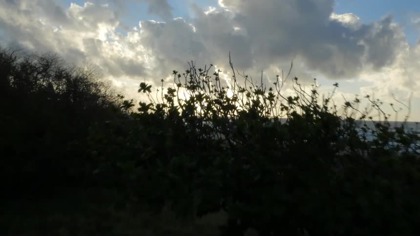 Sunset on the horizon