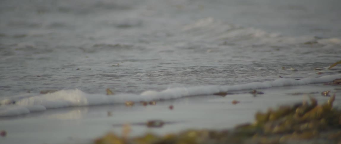 Frothy waves crashing on a beach