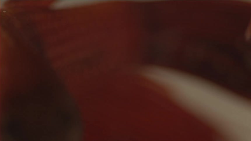 A blurry red image