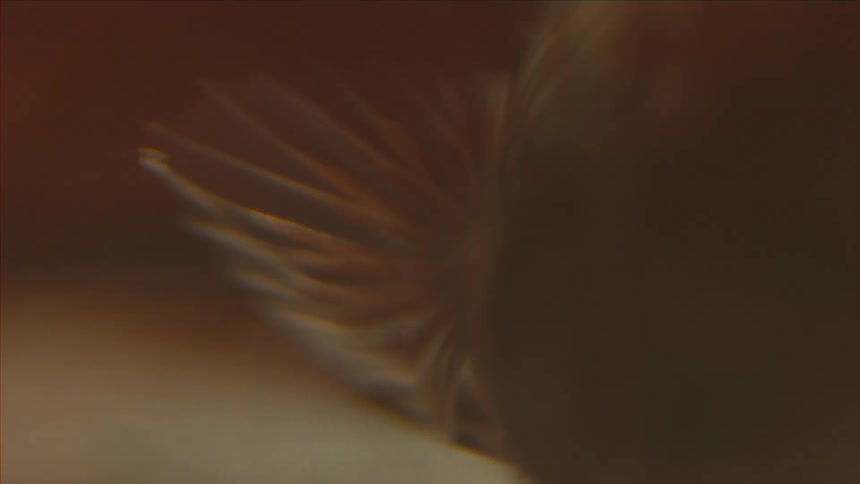A blurry red image
