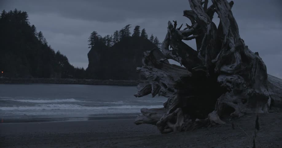 A very large piece of driftwood on a beach with tree-lined hills and waves in the background on a dark and cloudy day