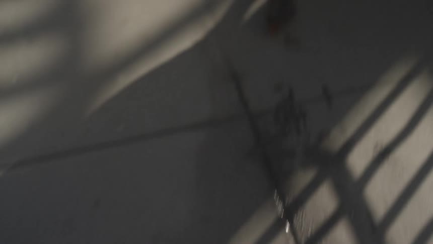 Shadows on the ground
