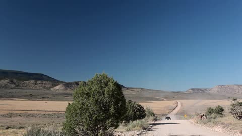 A vehicle approaches on an isolated road