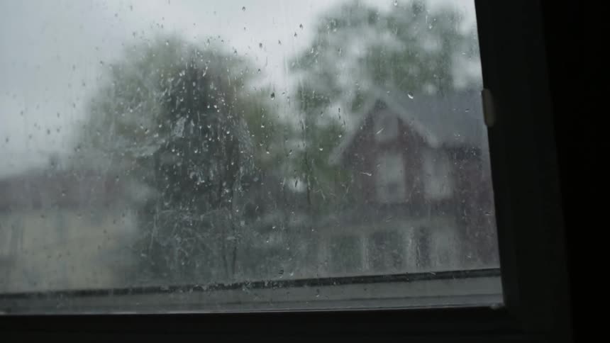 The rain collects on a window