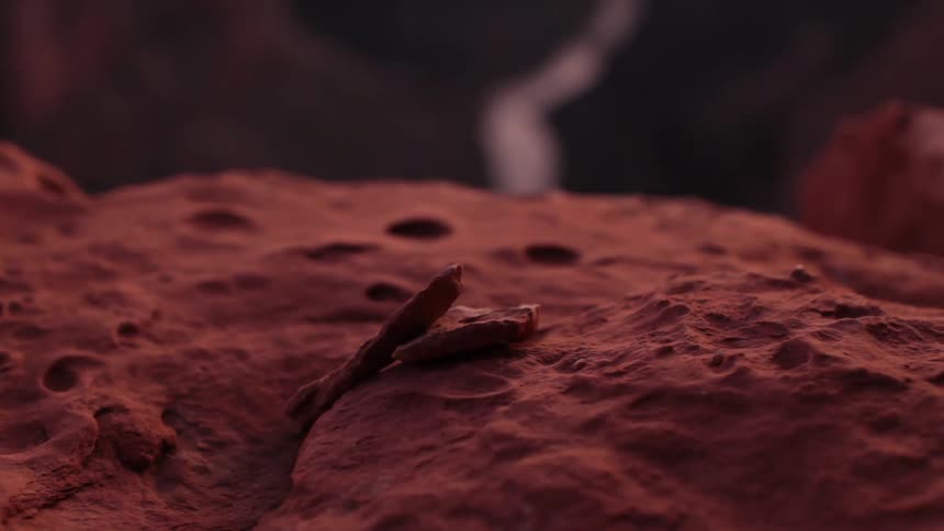 A red, sandy cliff with animal paw prints in the sand