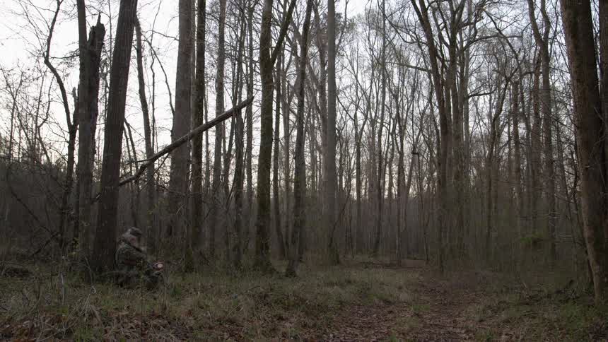 A man sits against a tree in a forest