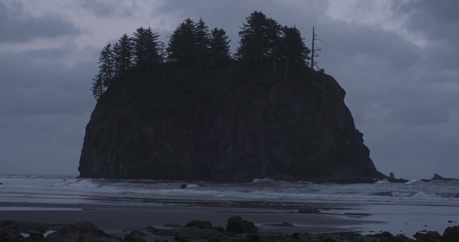 Silhouetted trees sit perched on top of a landmass in the ocean