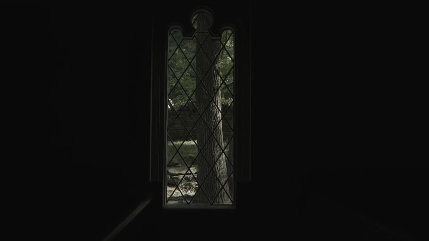 Dark room with a window and a view of a tree