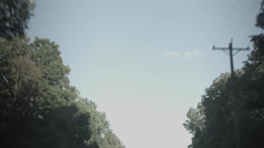 A car is driving through the forest