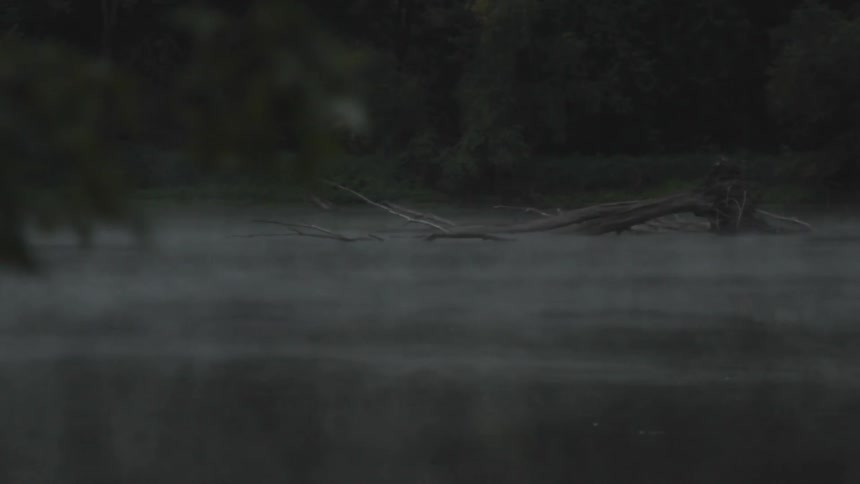 A fallen trees sits in the middle of a flowing body of water