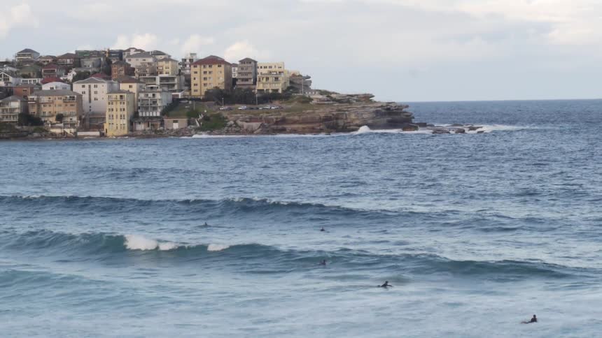 Surfers waiting to catch large waves