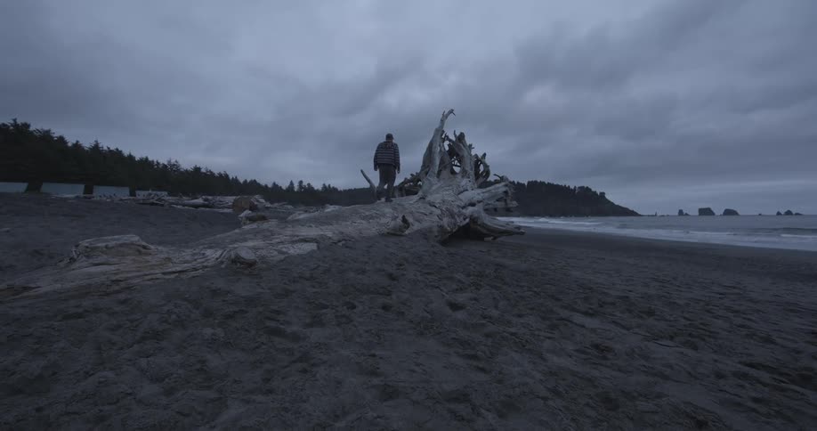 A man walks on a sandy beach