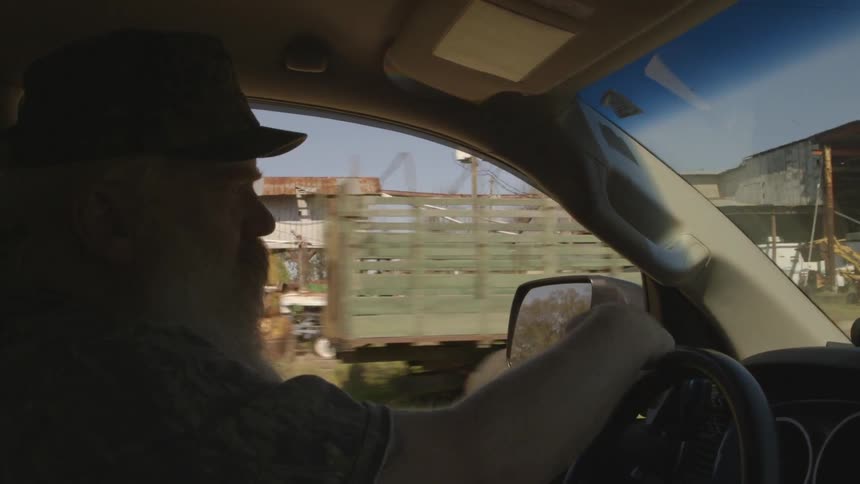 A man with a white beard drives a car