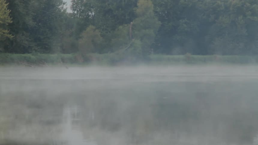 Fog rolls across a lake