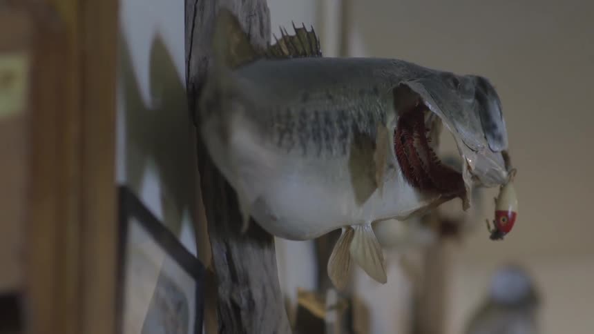 A fish with a hook in it's mouth mounted on a wall near a door