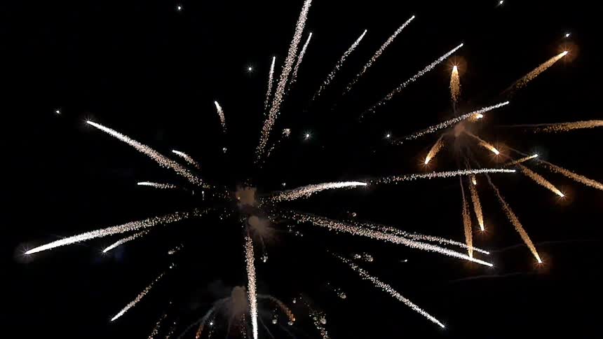 Fireworks explode in the dark night sky