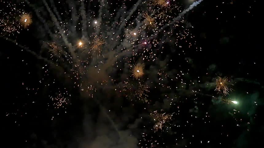 Fireworks exploding in the night sky