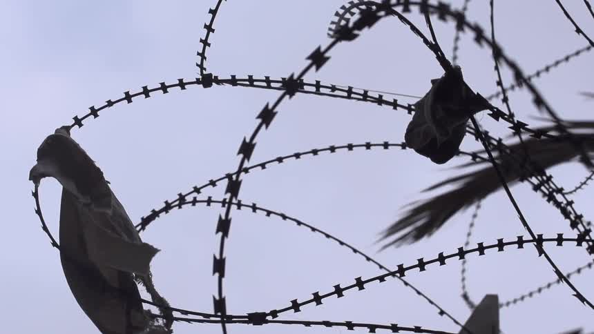 Debris hanging from barbed wire