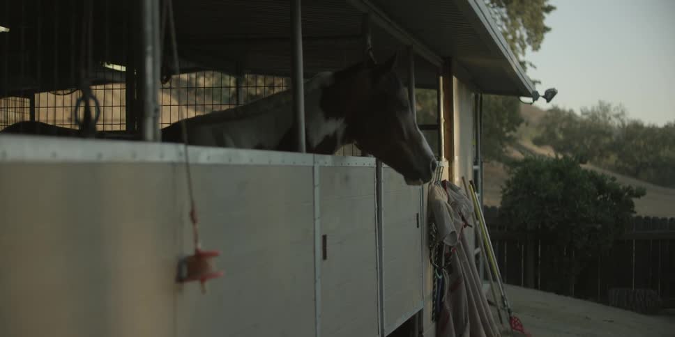 A horse sitting in a stable