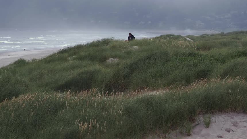 Two people sitting in a grassy area near the beach
