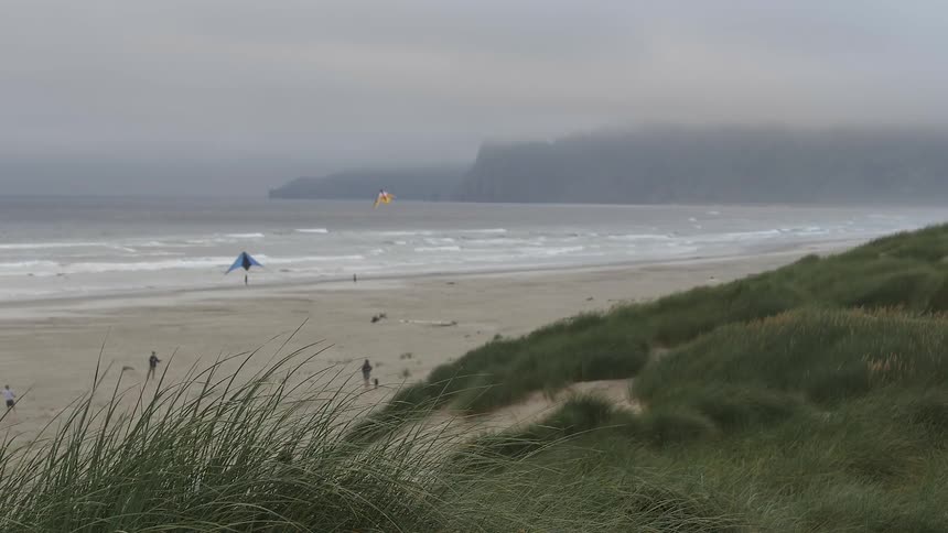 Kites are flown on a windy beach