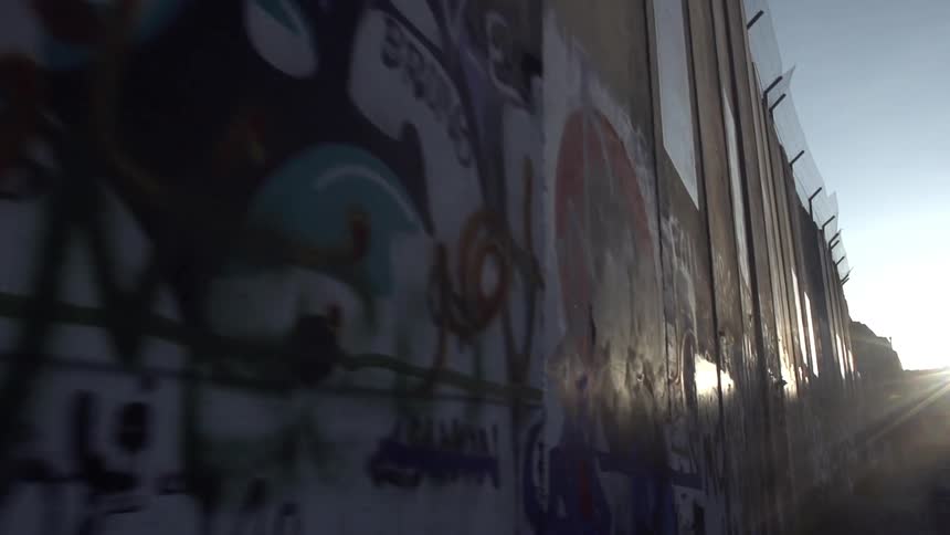 The sun shines on a graffitied wall