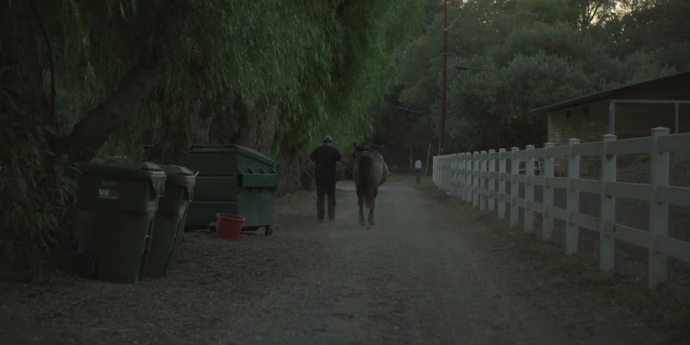 Man walking a horse down a driveway