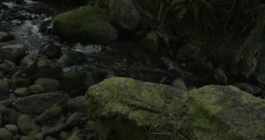 A scenery at river rock