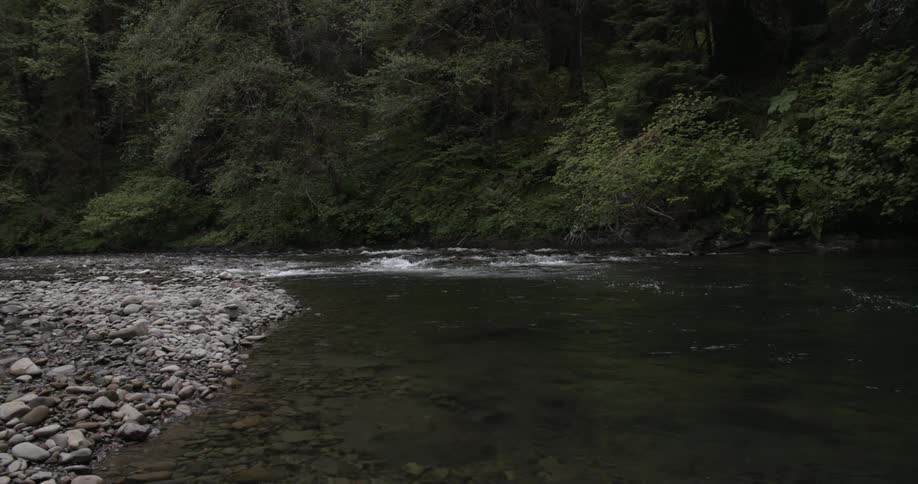 Water flows in a river