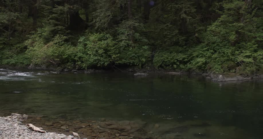 A flowing river