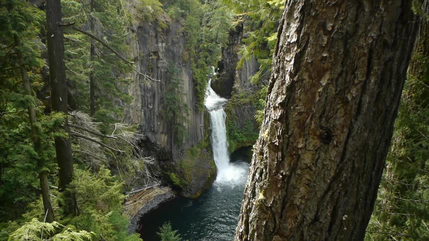 A waterfall in the woods