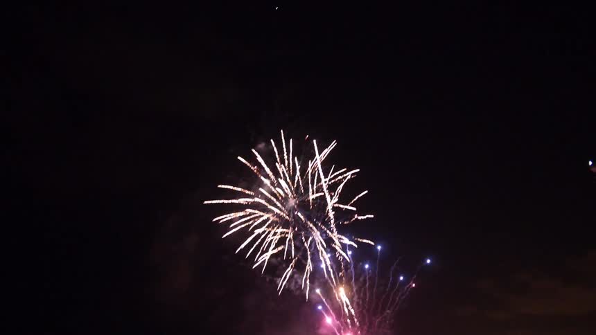 Fireworks exploding in the sky