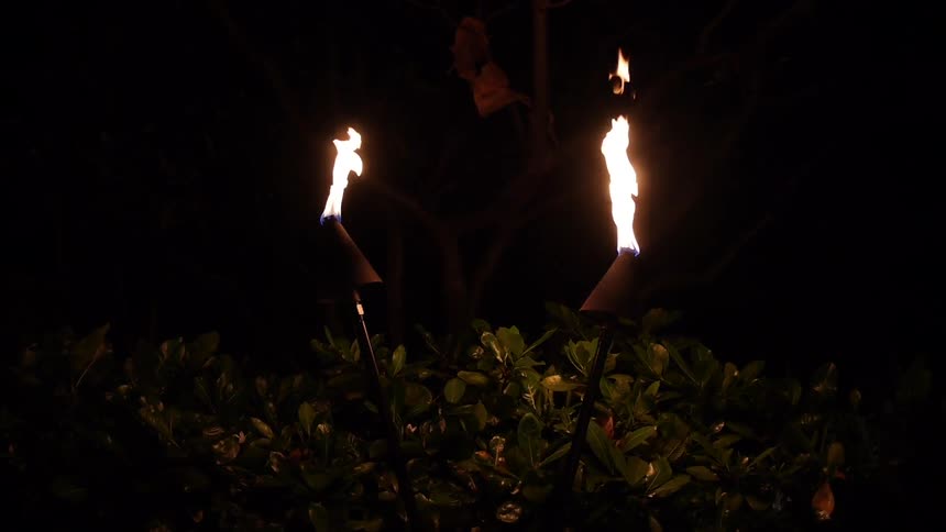 Torches lit at night