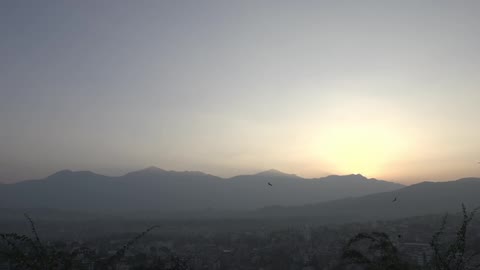 Birds soar in front of a mountain range