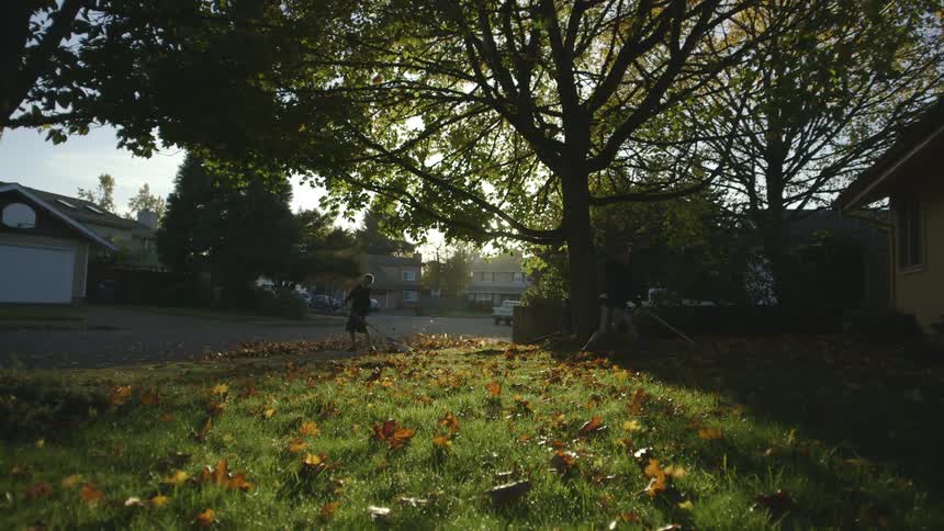 Two boys rake up leaves