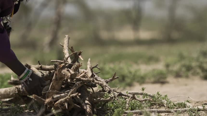 An african woman ties a rope around a pile of wood