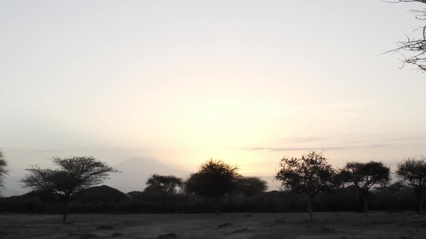 Sunset by some trees