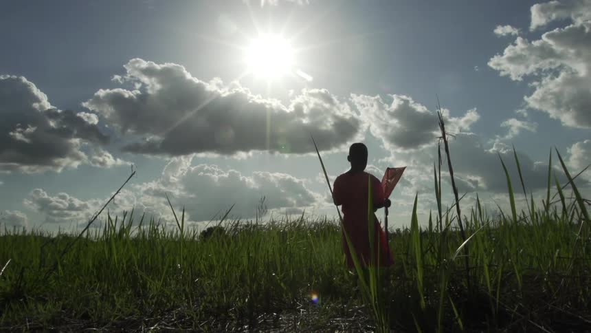A boy carries a kite through a sunny field