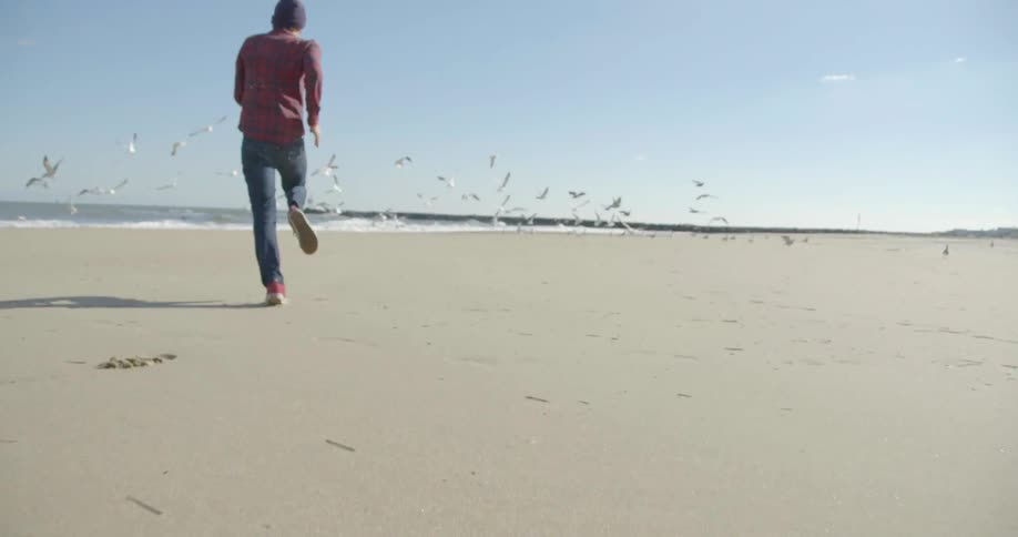 Man chases some seagulls on a beach