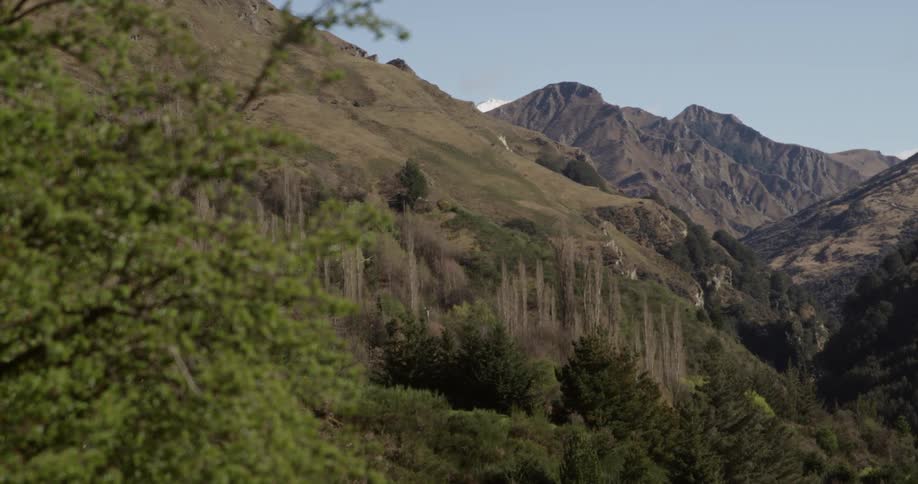 A lush mountain range