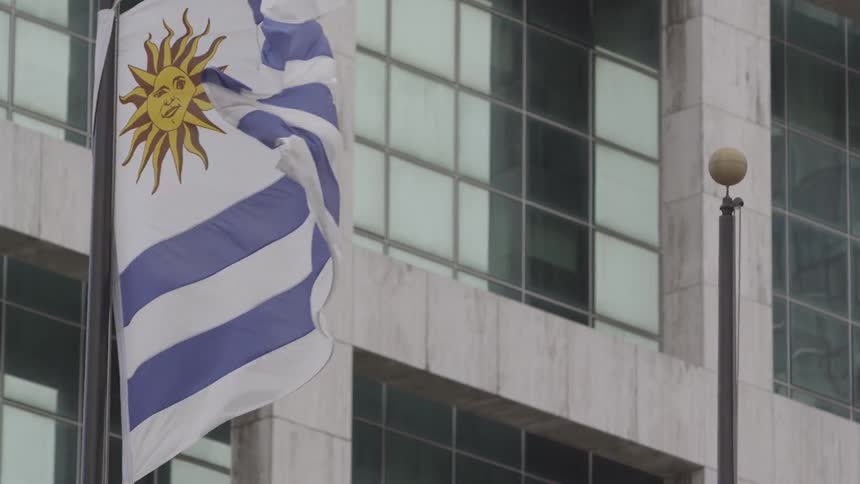 A flag blowing in the wind