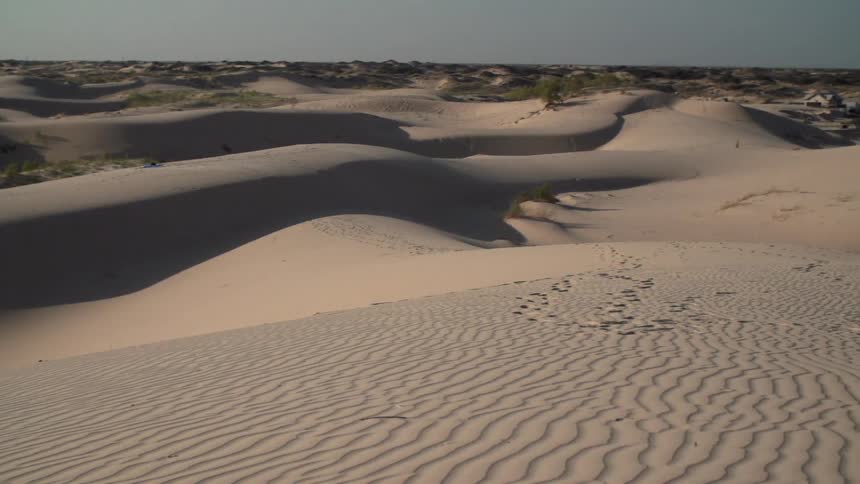 Sand dunes cascade across the landscape