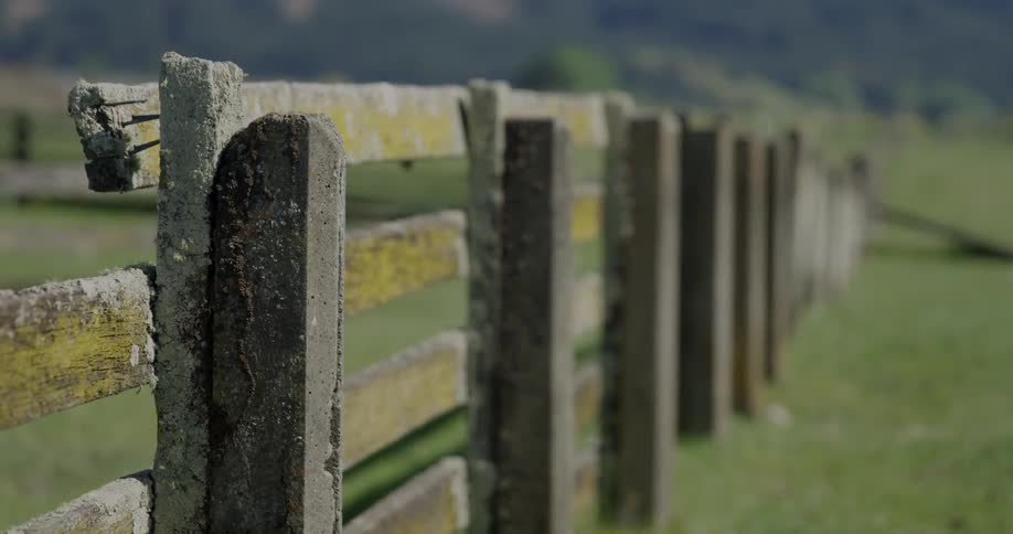 A wood fence stands in a sunny field