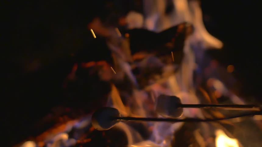 Marshmallows are being roasted over an open campfire